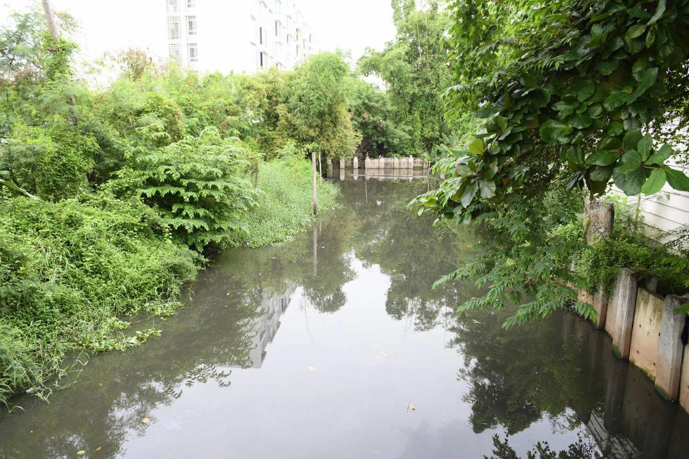 กทม. เร่งแก้ปัญหาพื้นที่ จตุจักร ลาดพร้าว เสี่ยงน้ำท่วมขัง หลังฝนตกหนัก