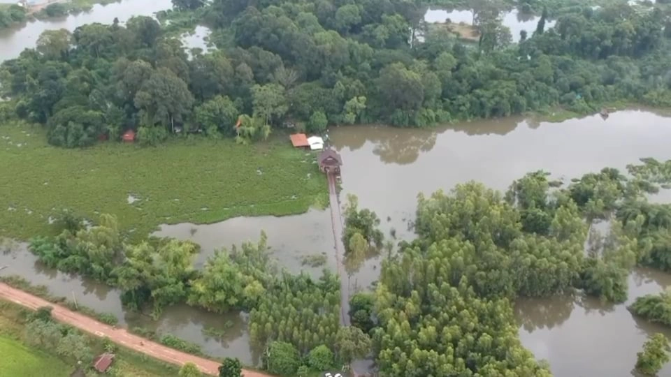 ลำน้ำชีเอ่อล้นท่วมวัดเกาะเกิ้งพระเณรต้องจำวัดบนสะพาน