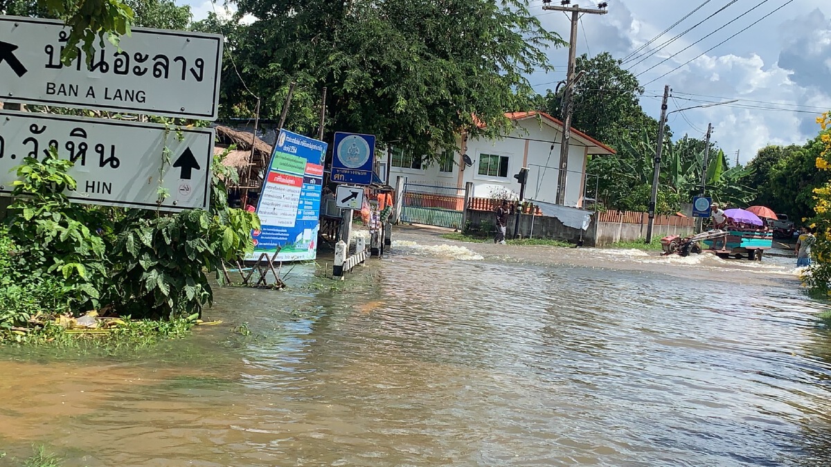 เกษตรกรระทมน้ำท่วมรอบสอง นาข้าวเป็นทะเล