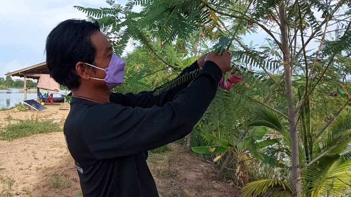 "แปลงโคก หนอง นา"เดินตามรอยพ่อหนึ่งเดียวในสุโขทัย ฝ่าวิกฤตรอดพ้นจมบาดาล
