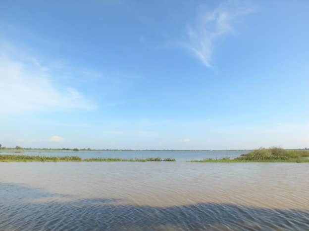 ชลประทาน แจงรับน้ำเข้าทุ่งบางกุ้งเต็มศักยภาพแล้ว
