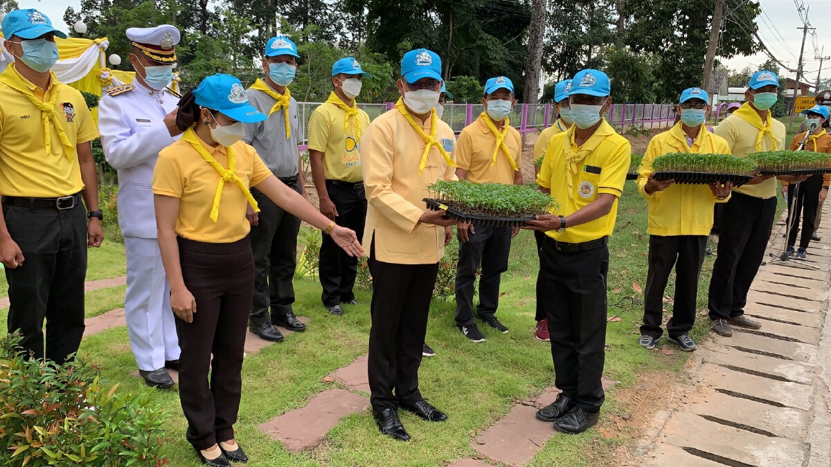 จิตอาสาปลูกดาวเรืองด้วยใจ ถวายพ่อหลวง ร.๙