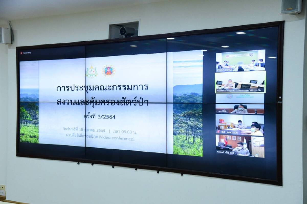 ทส. เร่งออก 8 กฎหมายลูก พ.ร.บ.สงวนและคุ้มครองสัตว์ป่า พ.ศ.2562