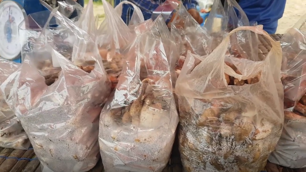 ‘เห็ดโคน‘ ทำเงินเกือบหมื่นต่อวัน ราคาสูงถึงกิโลกรัมละ 500 บาท
