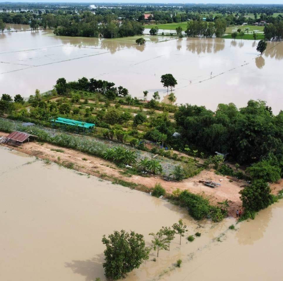 "แปลงโคก หนอง นา"เดินตามรอยพ่อหนึ่งเดียวในสุโขทัย ฝ่าวิกฤตรอดพ้นจมบาดาล