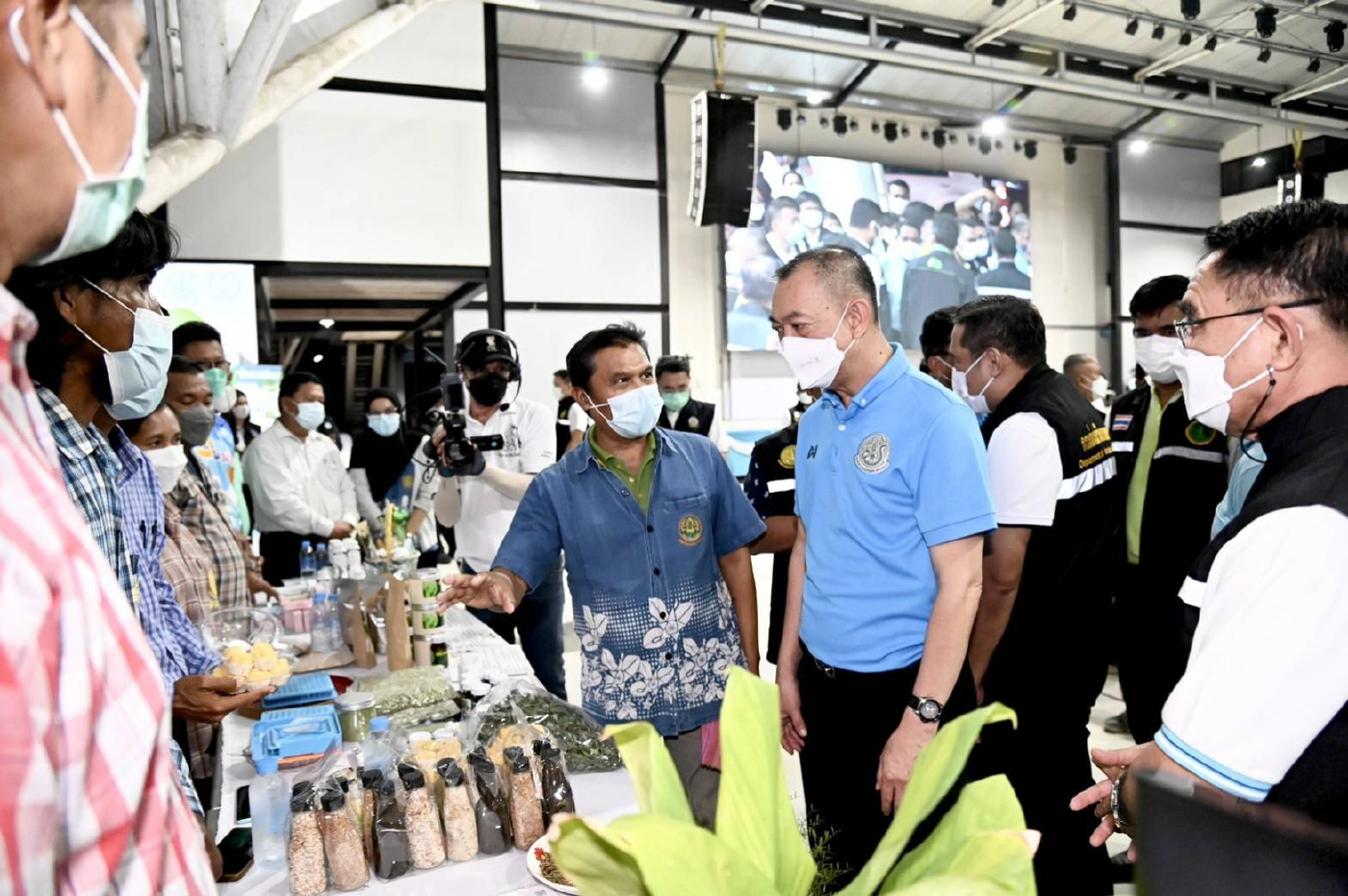 เกษตรฯ หนุนปลูกฟ้าทะลายโจรมอบต้นพันธุ์  2 ล้านต้น