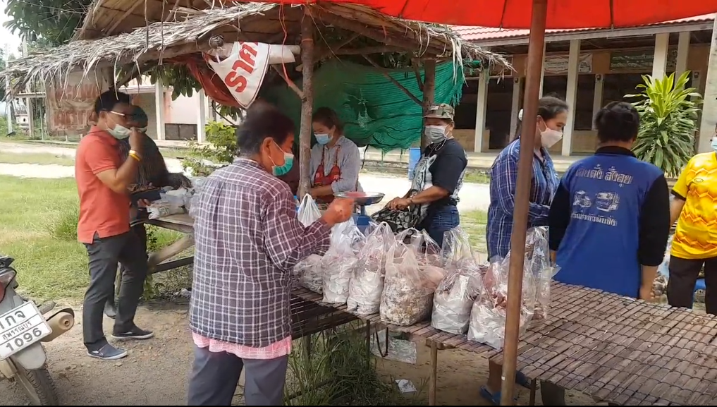 ‘เห็ดโคน‘ ทำเงินเกือบหมื่นต่อวัน ราคาสูงถึงกิโลกรัมละ 500 บาท