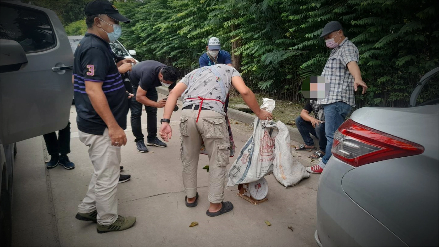 ชุดเหยี่ยวดง รวบพ่อค้าลักลอบขาย ‘ตะพาบ’ ผ่านทางออนไลน์