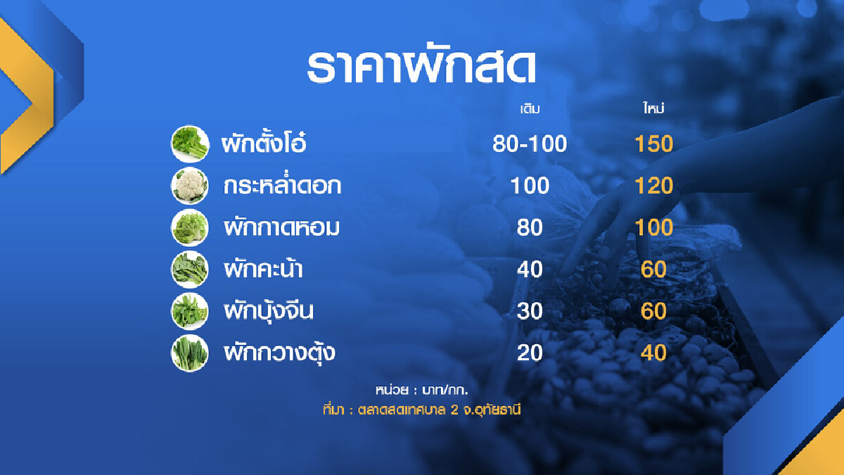 อาหารเจสะเทือน! พิษน้ำท่วมดัน ‘ผัก‘ ราคาพุ่ง