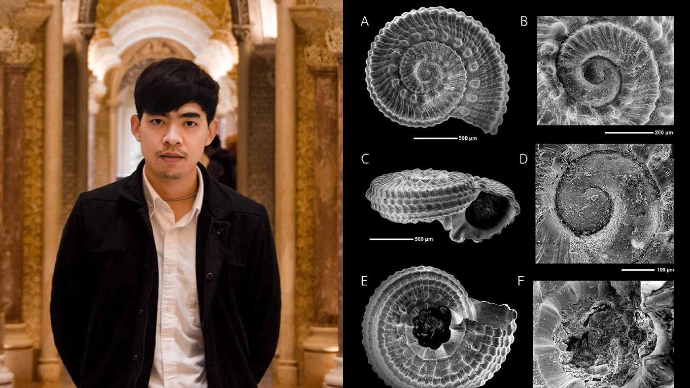 นักวิทย์ฯ ม.เกษตรฯ ค้นพบ "หอยอำแพง" หอยทะเลจิ๋วในฟอสซิลกวาฬอายุกว่า 3,380 ปี