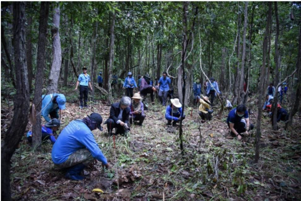 เปิดโมเดลการจัดการ "คาร์บอนเครดิต" ป่าชุมชน