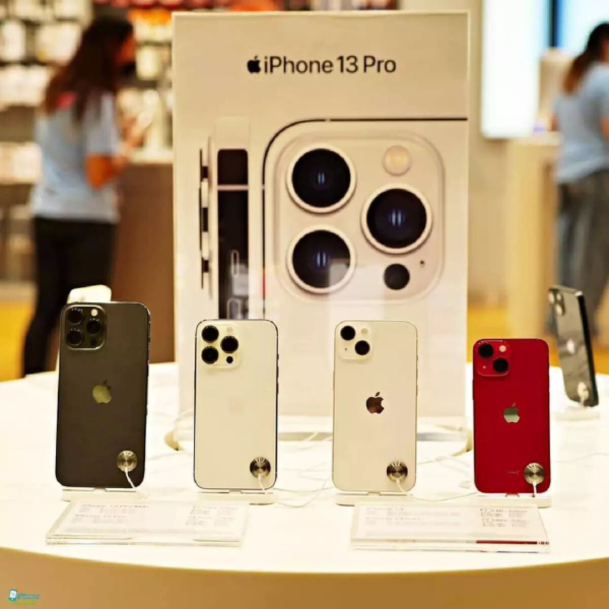 กระแส iPhone13 ฟีเว่อร์ มาแรง สาวกไอโฟนแห่จองยอดพุ่งสูง