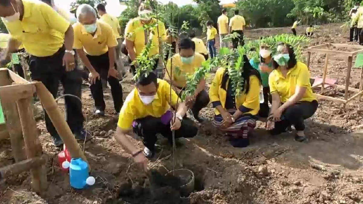 จัดวันรักวันต้นไม้ประจำปีของชาติ-น้อมรำลึกสมเด็จย่า