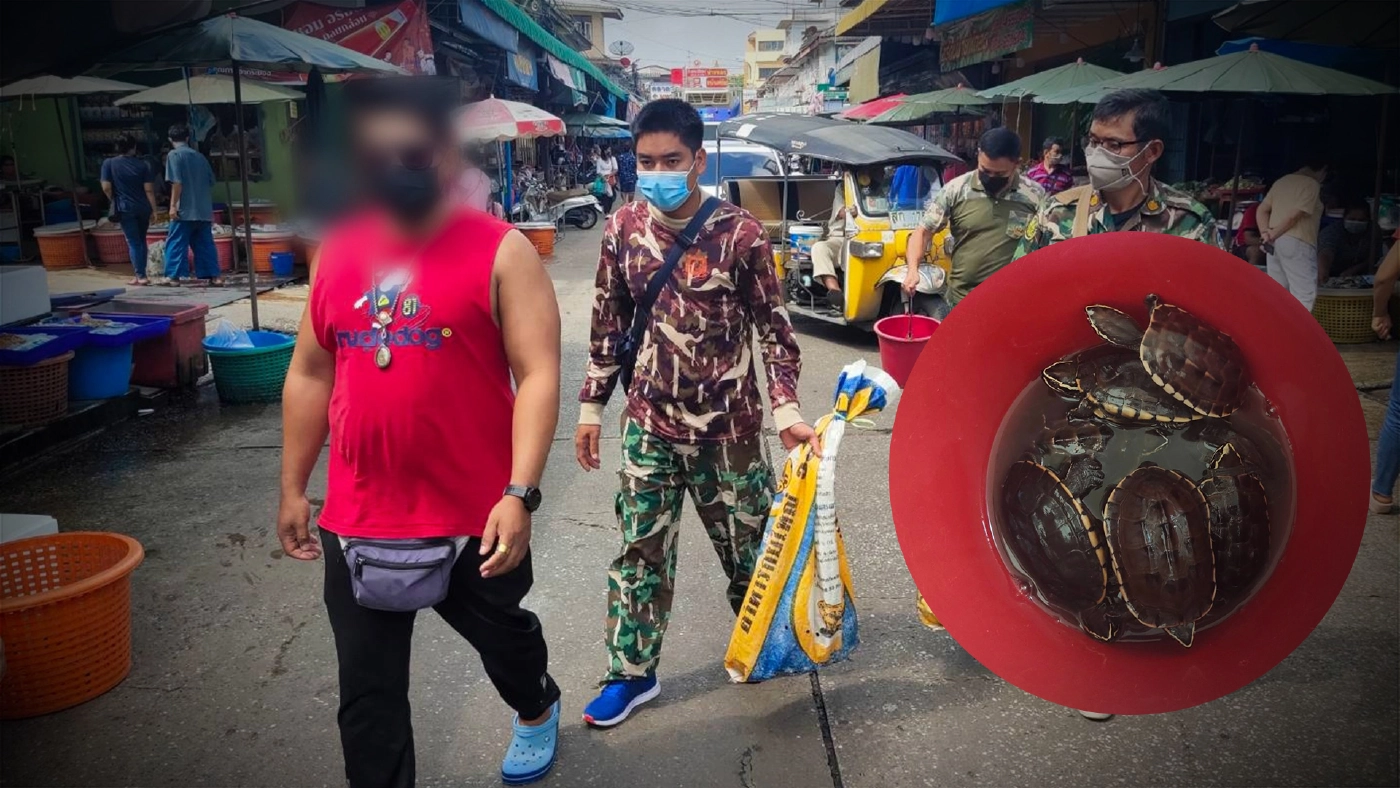 จนท.รวบหนุ่มลอบขาย "เต่านา" กลางตลาดสดรถไฟมหาชัย