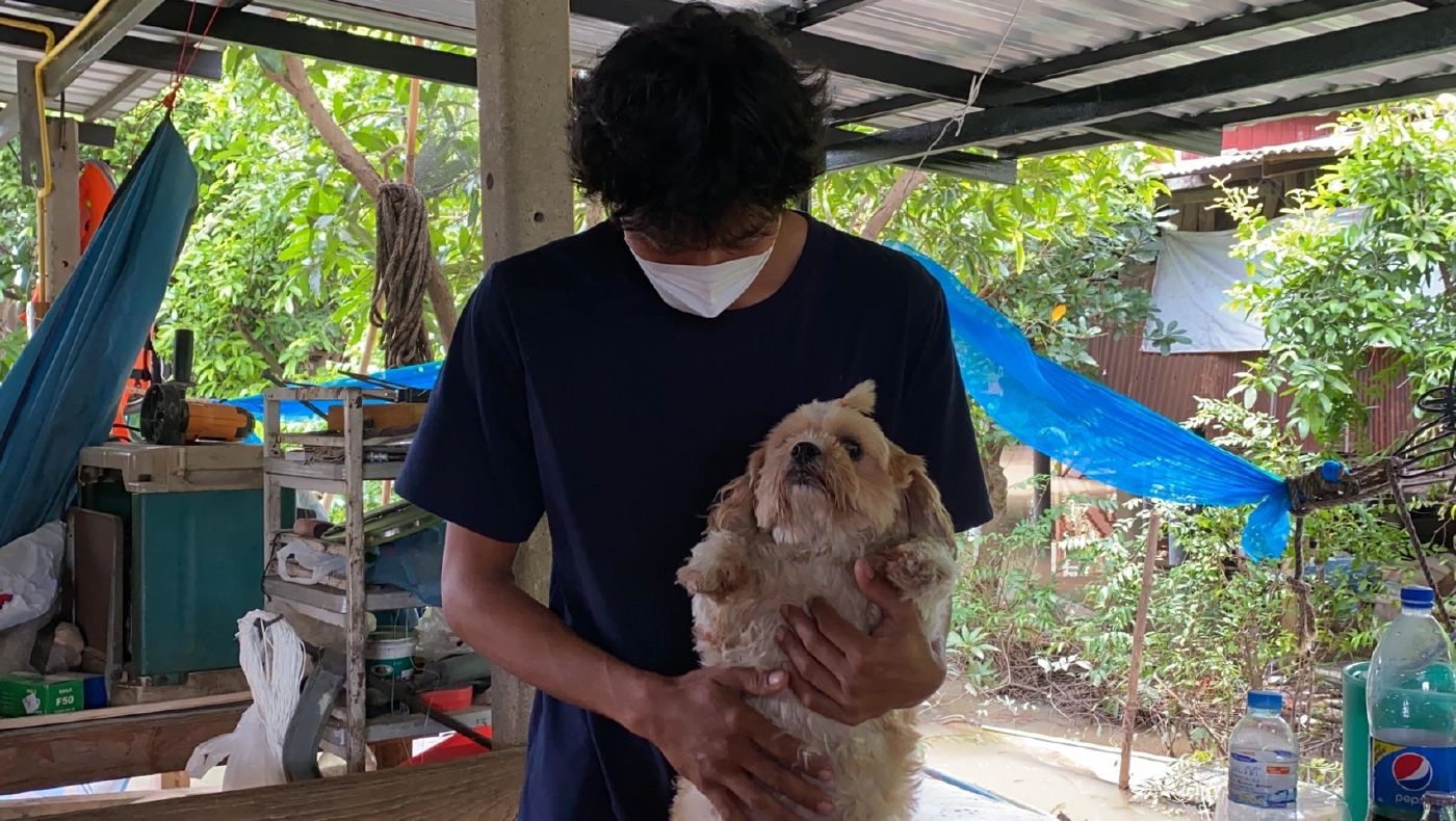 พบน้องหมาพุดเดิ้ล ลอยมากับสวะ สงสัยเป็นตัวที่หายจากเหตุเรือล่ม