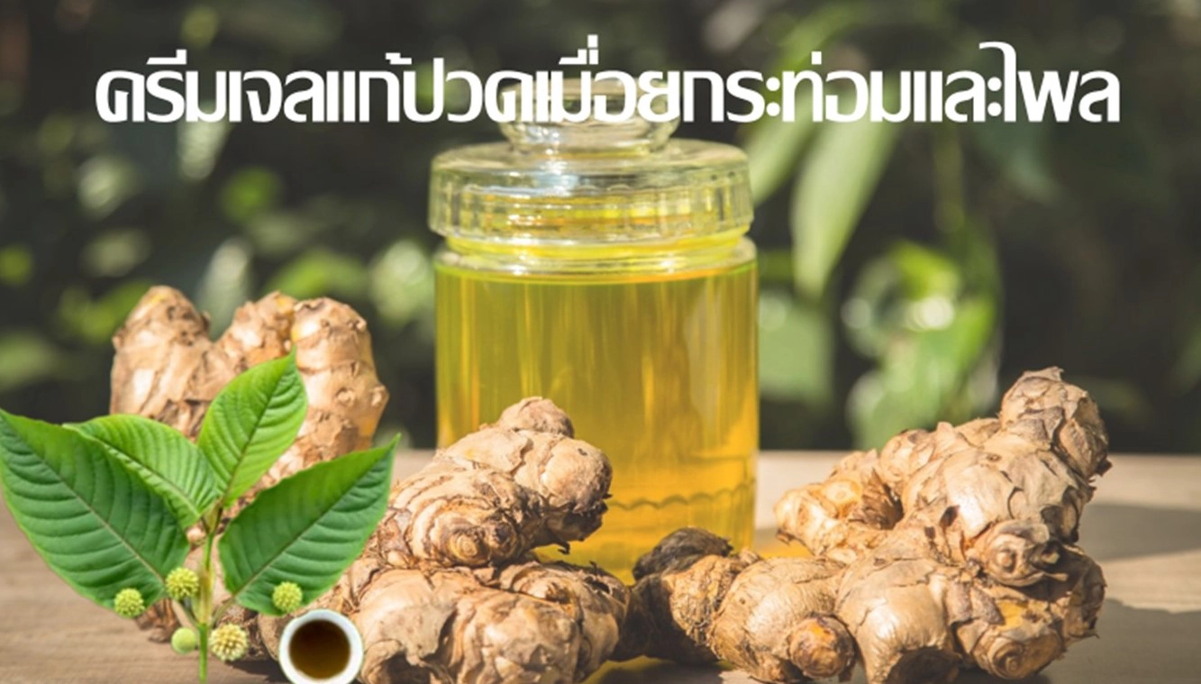 KWHB มุ่งเป็นผู้นำการสกัดพืชสมุนไพรไทย เข้าตลาดเครื่องสำอาง-ยา 2 หมื่นล้าน