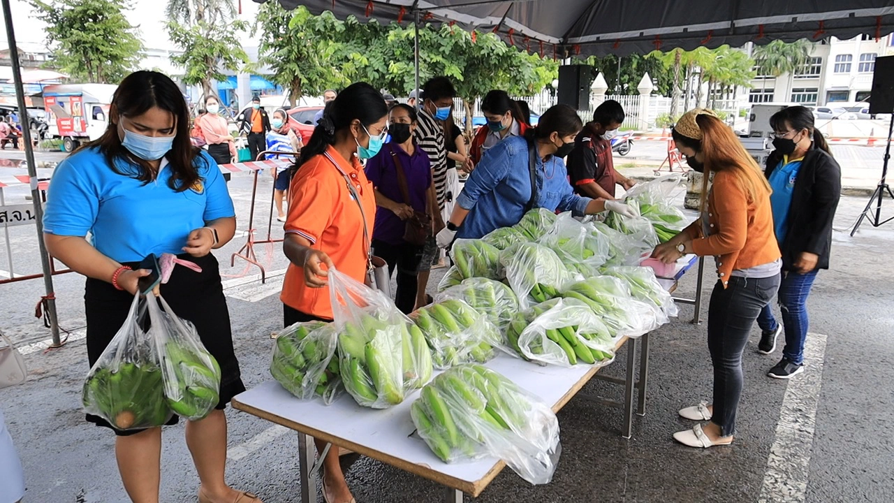 กล้วยหอมล้นตลาดผู้ว่าฯจัดตลาดนัดระบายผลผลิตกว่า 750 ตัน