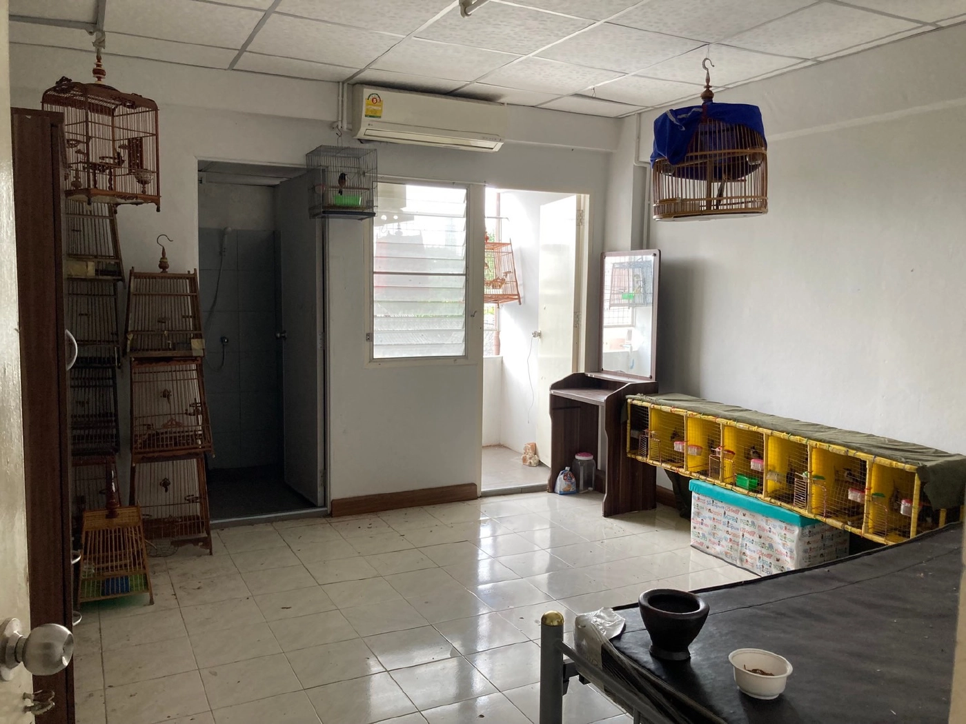 จับพ่อค้า“นก”ขายออนไลน์ เปิดห้องเลี้ยงกลางกรุง