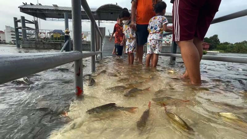 นักท่องเที่ยวให้อาหารปลาที่สะพานท่าน้ำวัดพนัญเชิง