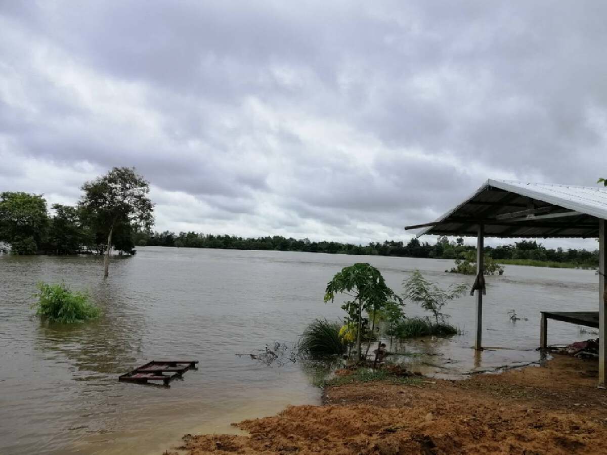ลำน้ำชีได้เอ่อล้นกัดเซาะคันดิน จ.ร้อยเอ็ด เสียหาย 1,000 ไร่