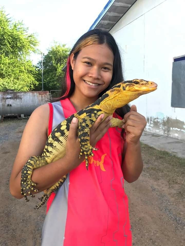 หนุ่มโคราช ตามหา “เหี้ย” สุดรัก หลุดหาย มีรางวัลให้หากพบ