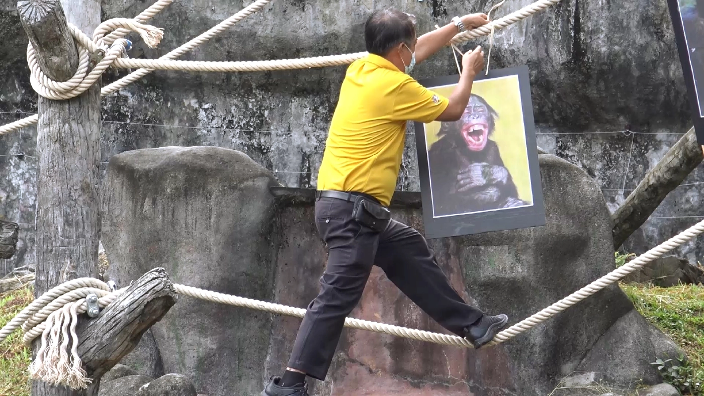 จัดหาคู่ให้เจ้าจ้อนลิงหนุ่มแสนรู้สู่ขอเป็นคู่ครอง