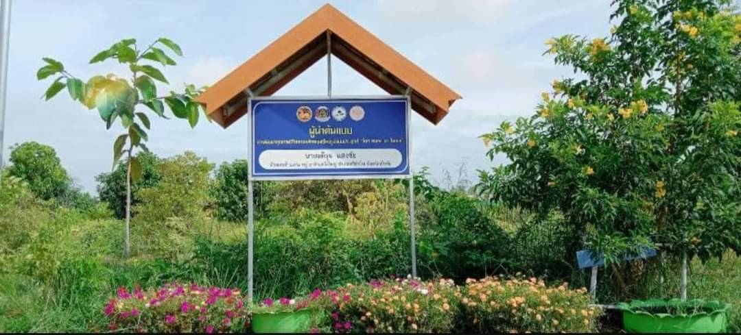 "แปลงโคก หนอง นา"เดินตามรอยพ่อหนึ่งเดียวในสุโขทัย ฝ่าวิกฤตรอดพ้นจมบาดาล