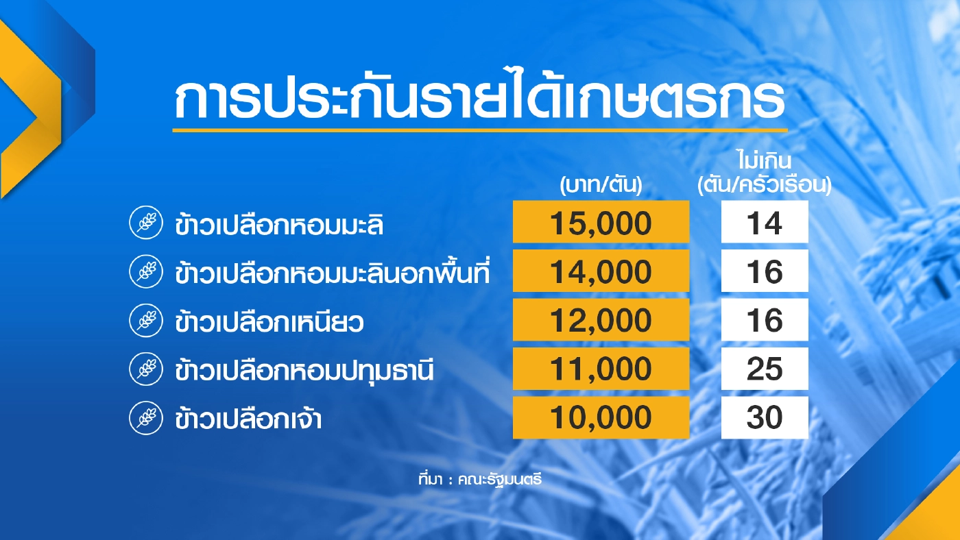 ลุ้น ครม.เคาะแสนล้าน อุ้ม ‘ข้าว-มันสำปะหลัง‘