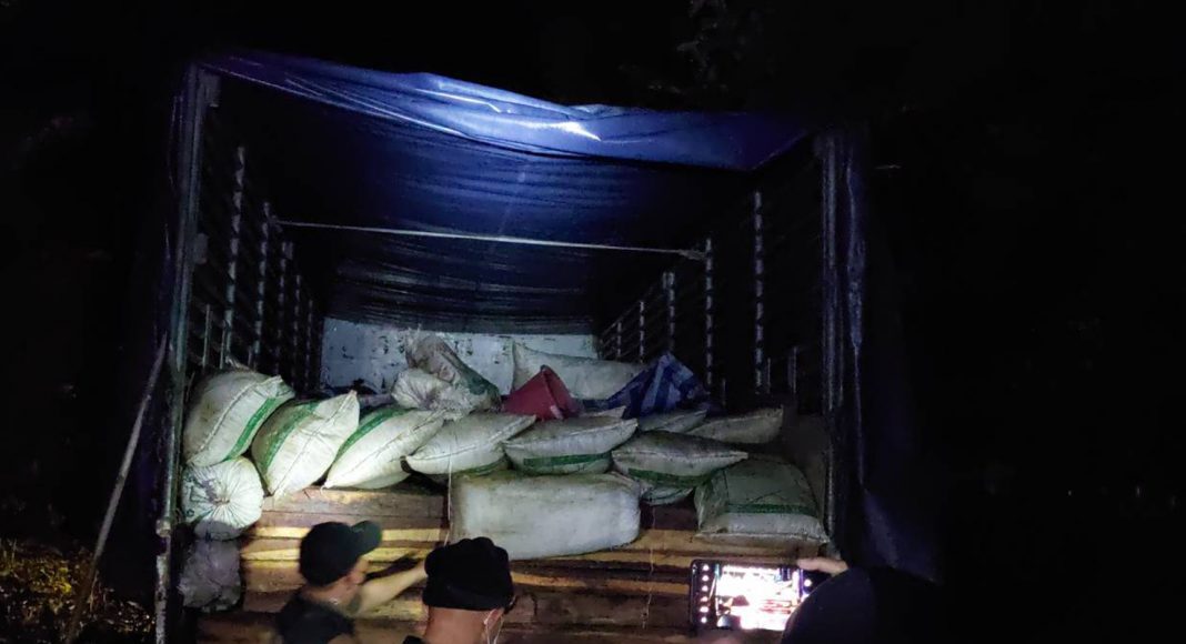 "พญาเสือ" สกัดจับรถขนไม้หวงห้าม มูลค่า 10 ล้าน