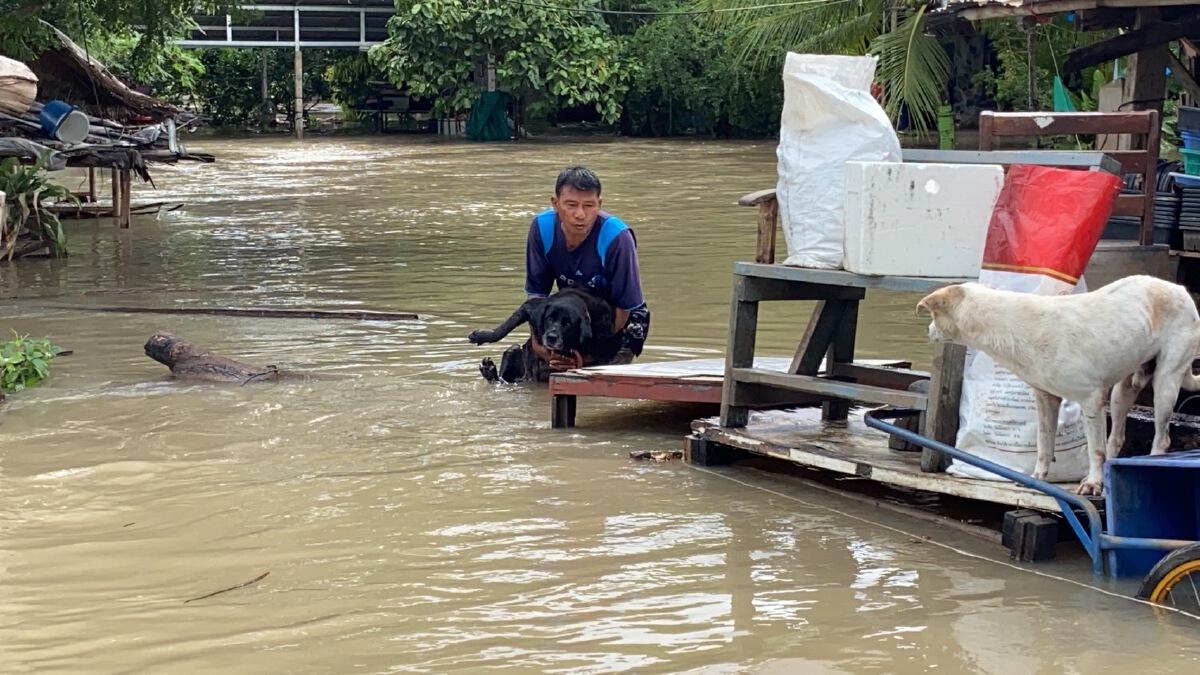 โคราชล้นแล้ว 2 เขื่อนใหญ่รับมวลน้ำทั้งในเมืองนอกเมือง