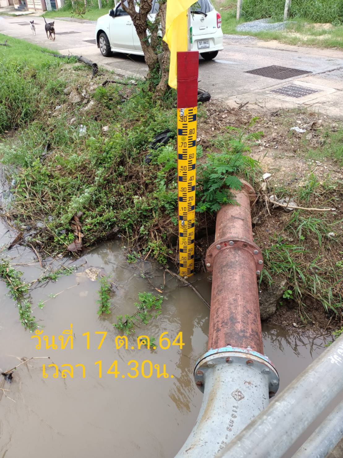 ยกระดับ!ปักธงเหลืองเตรียมรับมวลน้ำลำตะคองท่วมพื้นที่ศก.ค่ำนี้