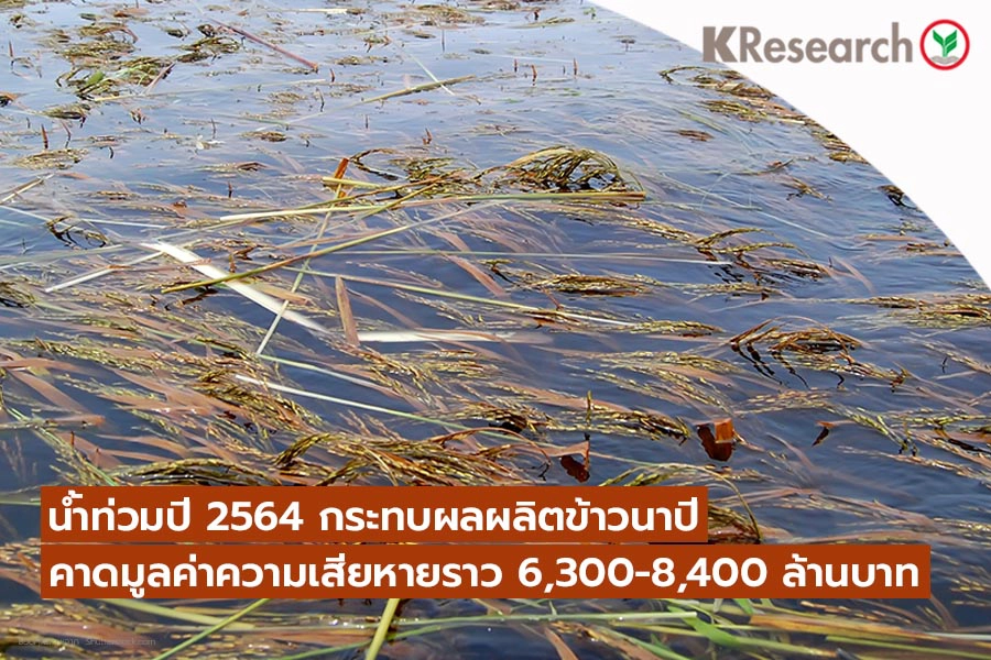 น้ำท่วมนาข้าว ปี 64 คาดเสียหาย 6,300 - 8,400 ล้านบาท