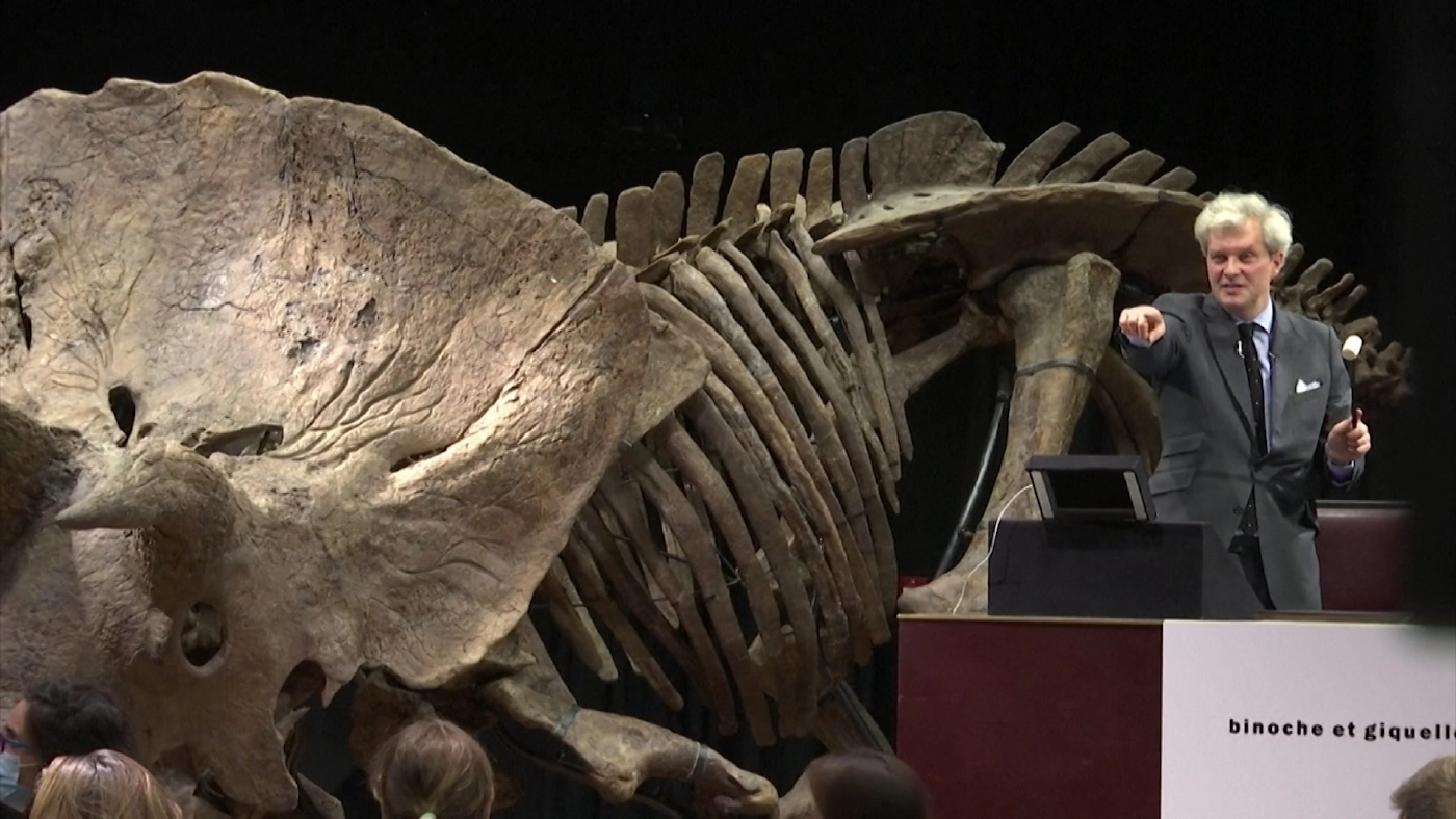 นักสะสมอเมริกัน ประมูลซากไดโนเสาร์"ไทรเซอราทอปส์"258 ล้านบาท