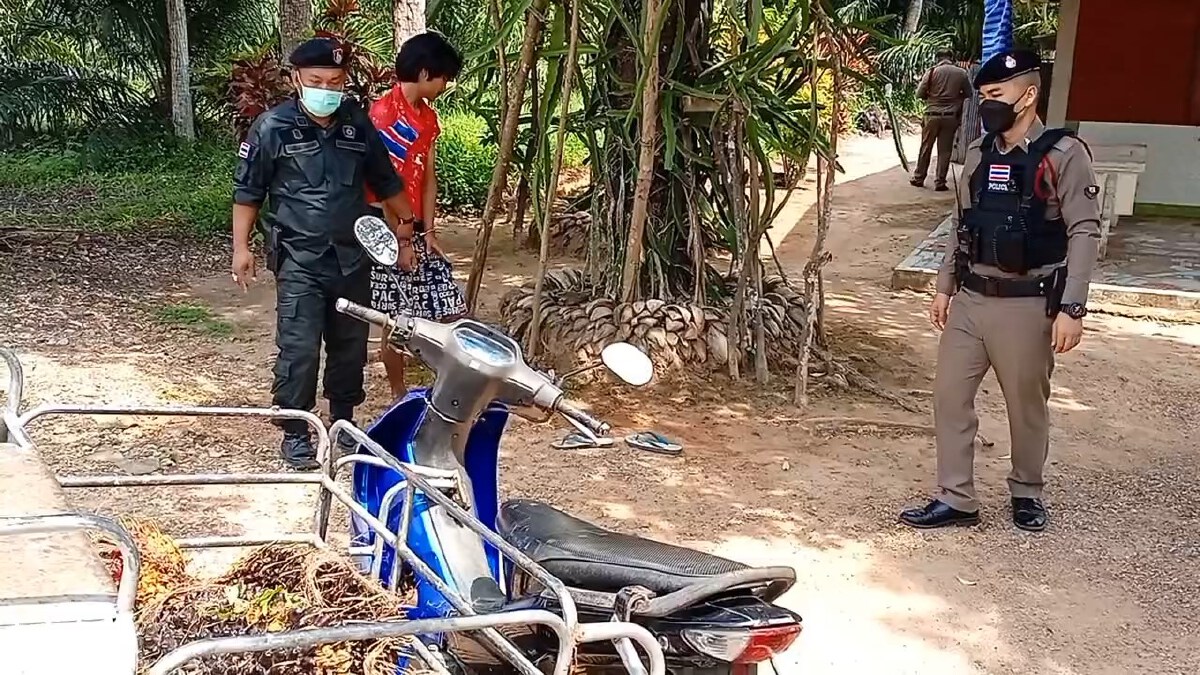 ยายสุดทน แจ้งจับคารถหลานชายขโมยผลปาล์มขายหาเงินเสพยา