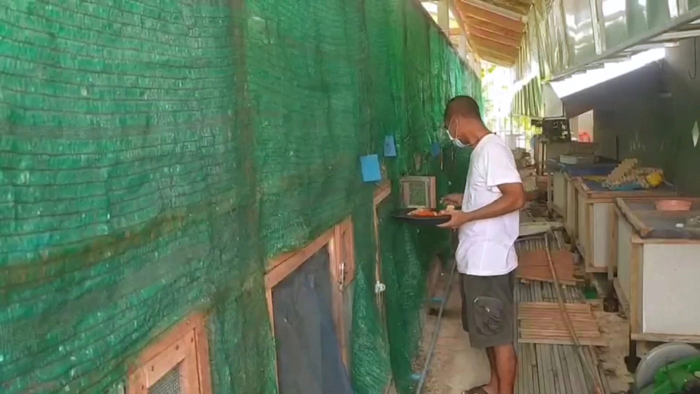 เพาะพันธุ์ "นกกรงหัวจุกเผือก" รับรายได้หลักแสน