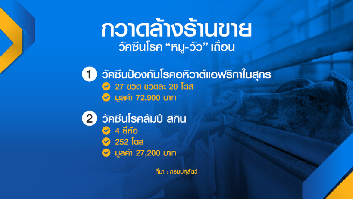 ปศุสัตว์ส่งทีมทลายแหล่ง ‘วัคซีน‘ เถื่อน