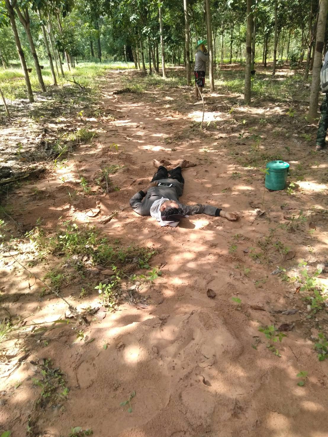 ทับลานสุดวุ่นทั้งช้างทั้งเสือบุกที่ทำกินชาวบ้านที่ครบุรี