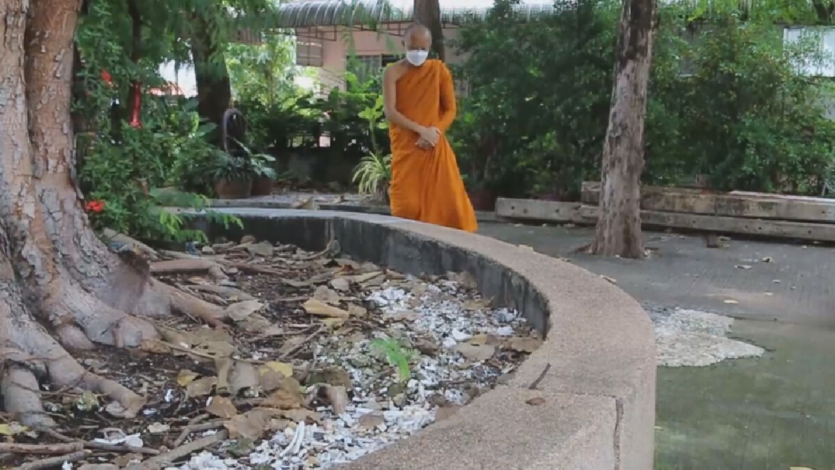 นำเถ้ากระดูกดับโควิด12ศพโรยใต้ต้นโพธิ์ญาติไม่นำกลับบ้าน