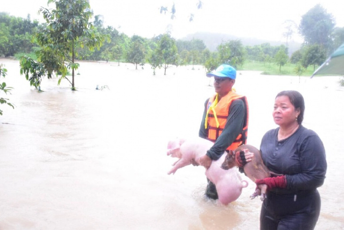 เช็กเลยเงื่อนไข หลักเกณฑ์การจ่ายเงินชดเชยเยียวยาเกษตรกร จากน้ำท่วม