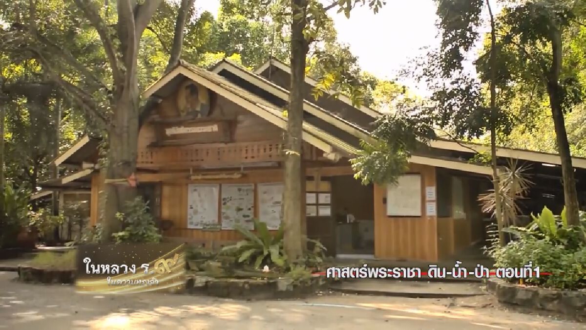 ในหลวง ร.๙ ในความทรงจำ : อย่าน้ำตาแห้งแล้วลืมพ่อ