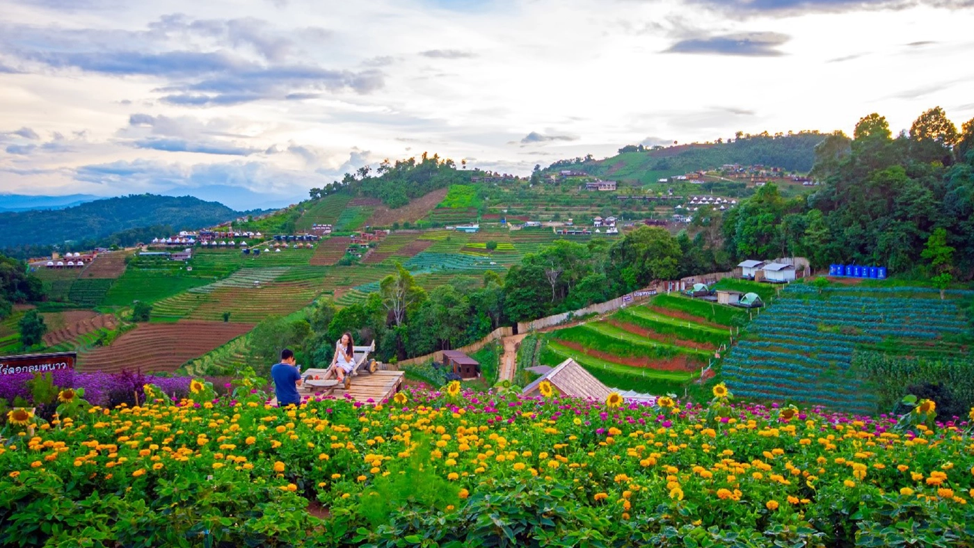 สวนดอกไม้รอบล้อมม่อนแจ่ม