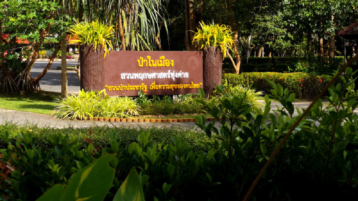 กินเจไม่จำเจหลากเมนู คาเฟ่ป่าในเมืองตรัง