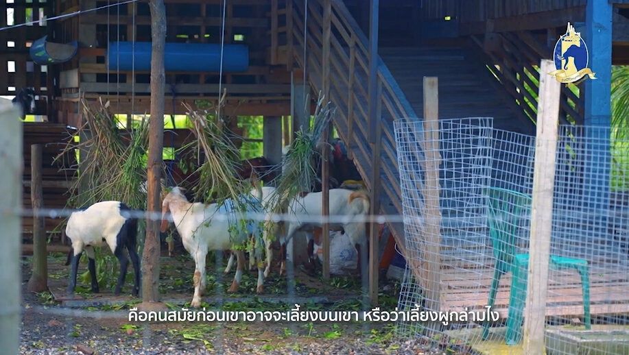 ในหลวง ร ๙ ในความทรงจำ : สุนีย์ ชุมนพรัตน์ น้อมนำเศรษฐกิจพอเพียง
