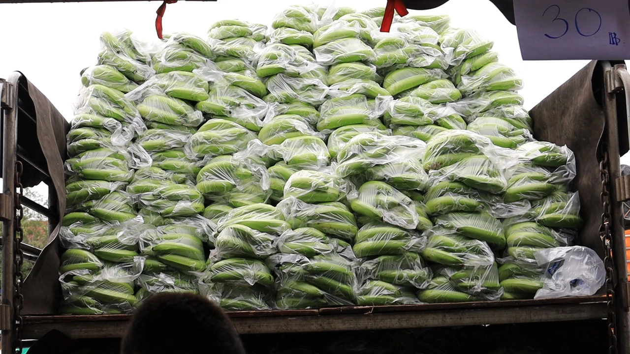 กล้วยหอมล้นตลาดผู้ว่าฯจัดตลาดนัดระบายผลผลิตกว่า 750 ตัน