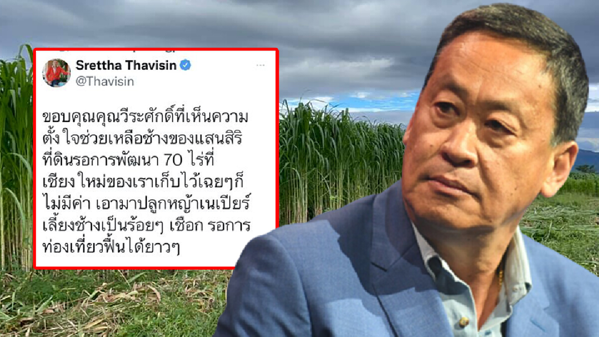 "วีระศักดิ์" ชื่นชมแสนสิริ ให้ใช้ที่ดินปลูกหญ้าเนเปียร์ช่วยช้าง