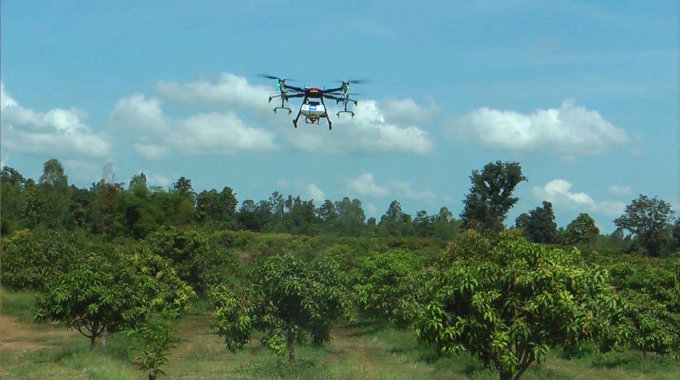 "มะม่วงแปลงใหญ่"ยกระดับสมัยใหม่-"โดรนพ่นยา-ลดต้นทุน"