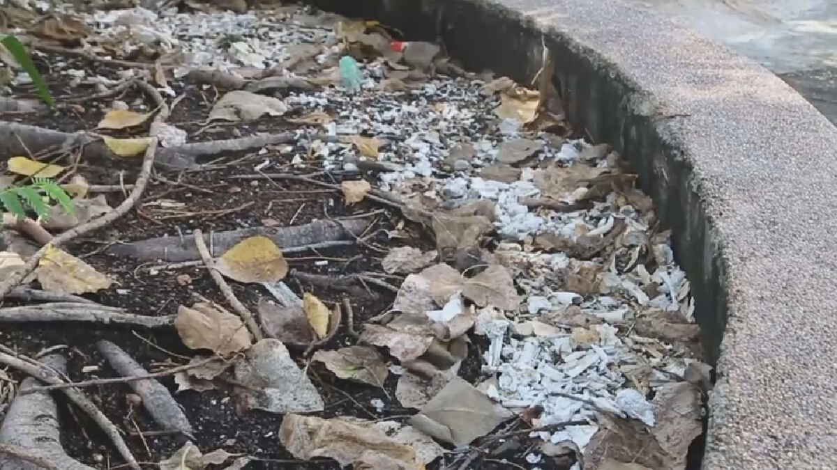 นำเถ้ากระดูกดับโควิด12ศพโรยใต้ต้นโพธิ์ญาติไม่นำกลับบ้าน