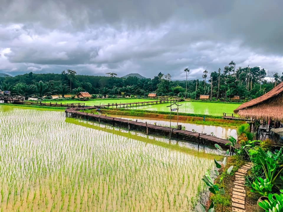 ร้านกาแฟตรังราคาหลักสิบ…วิวหลักล้าน!