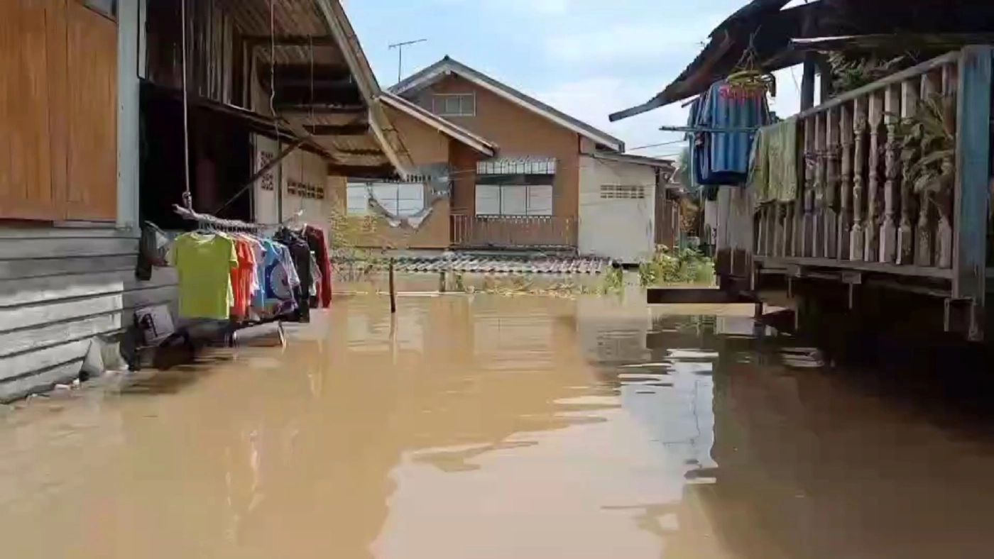 ผักไห่น้ำยังสูงถึงขอบหน้าต่าง ต้องลอยเรือหลบร้อนตามต้นไม้