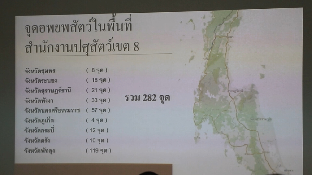 สั่งปศุสัตว์ 14 จว.ใต้ พร้อมเผชิญเหตุน้ำท่วม